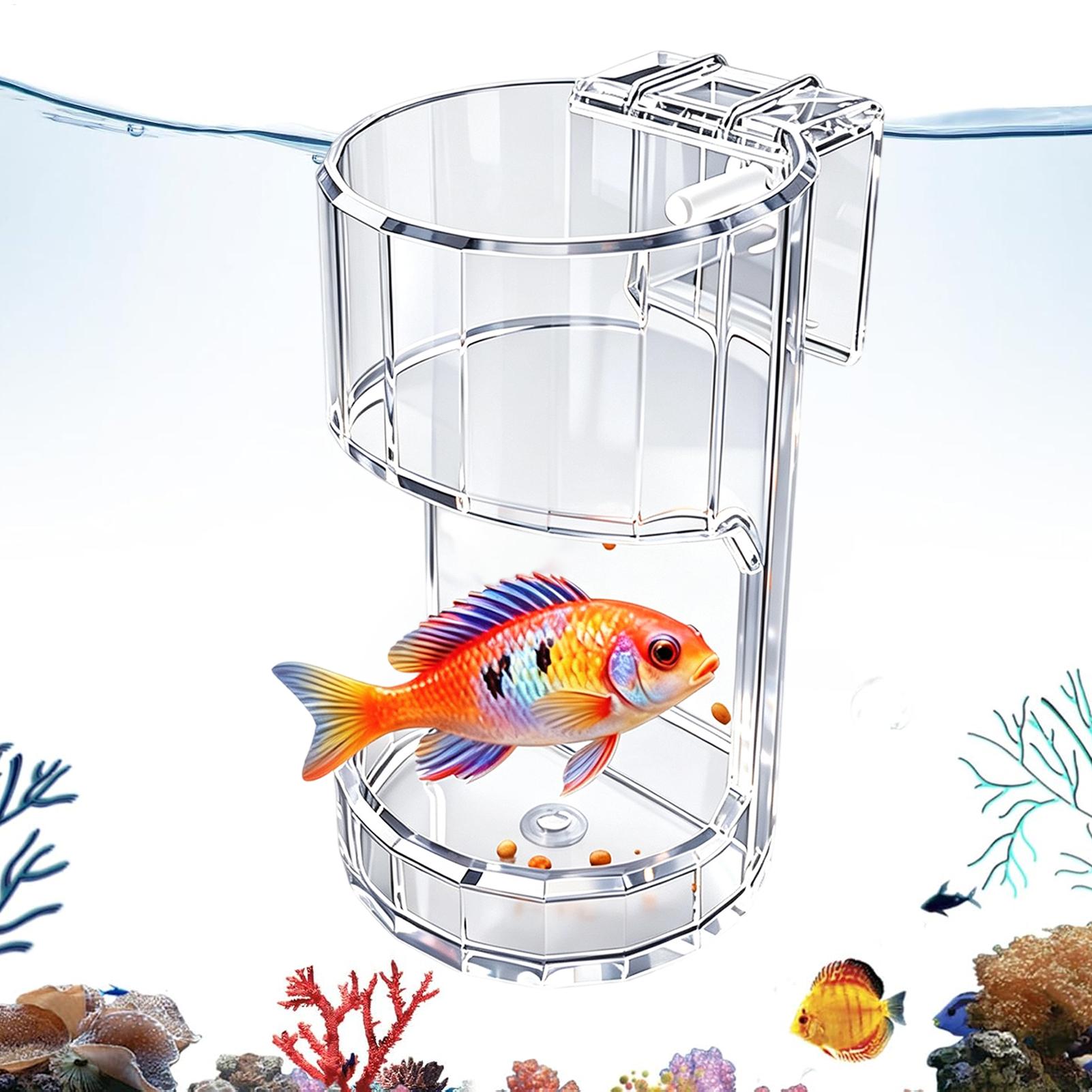 Marine Aquarium Live - Aquarium Feeding Dish Transparent Food Bowl
