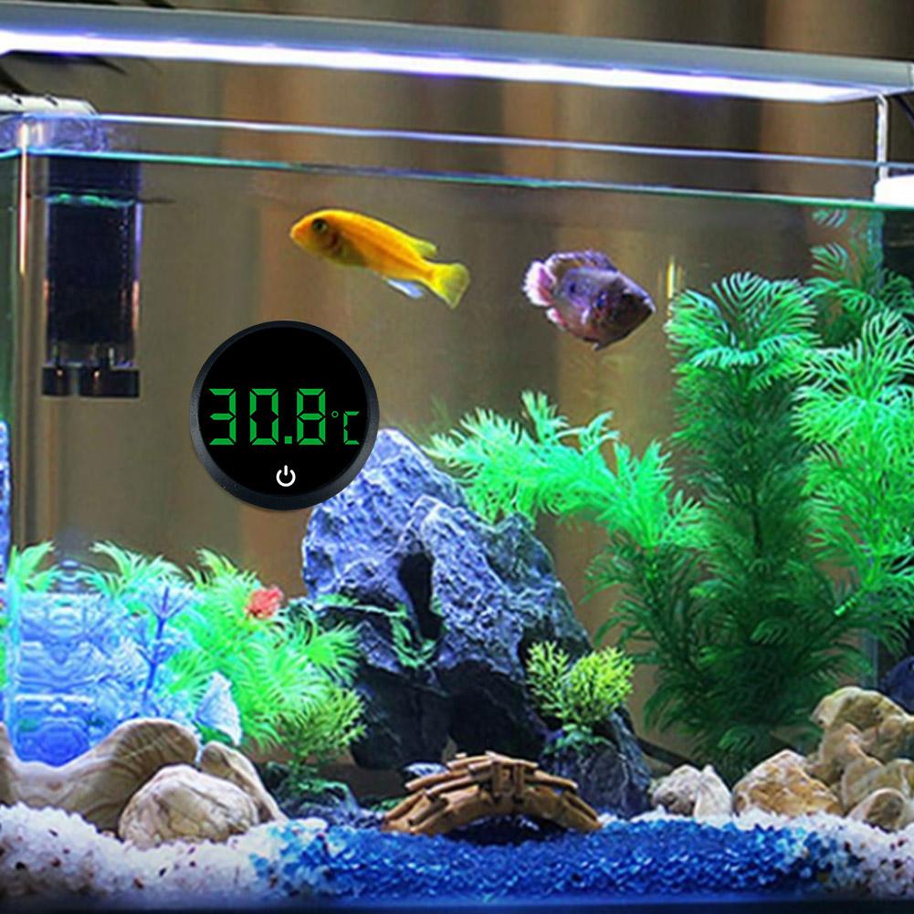 Aquarium Self-Adhesive Thermom - Marine Aquarium Glue 评论和价格