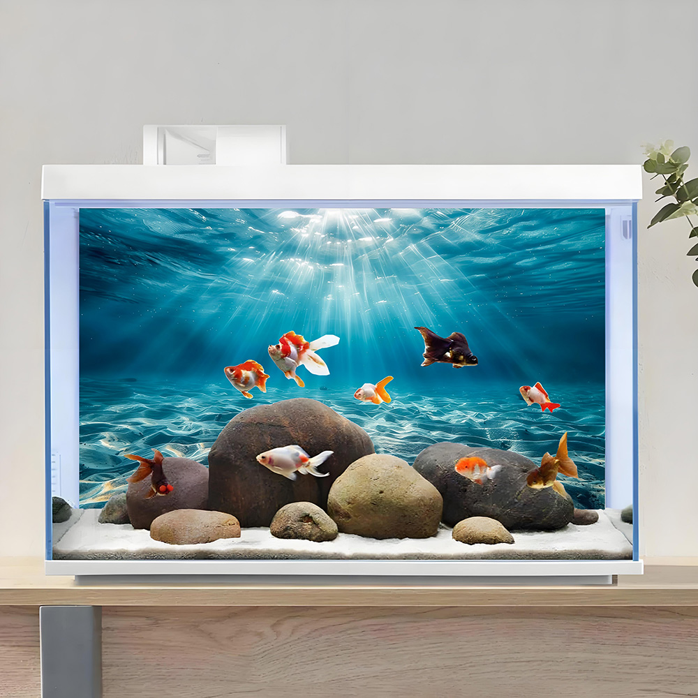 Blue Ocean Beach, Fish Tank Ba - Marine Aquarium Glue 评论和价格