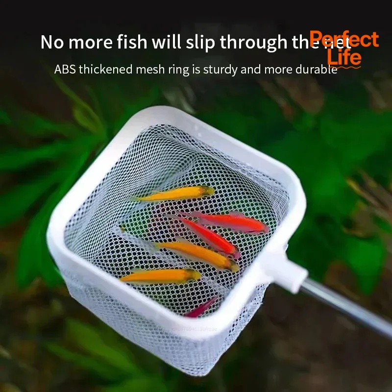 1、2Pcs Stainless Steel Fishing - Aquarium Marineland 评论和价格