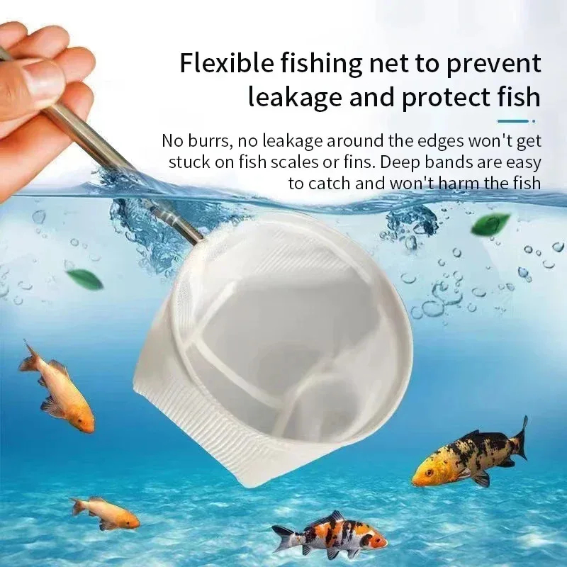 1、2Pcs Stainless Steel Fishing - Aquarium Marineland 评论和价格