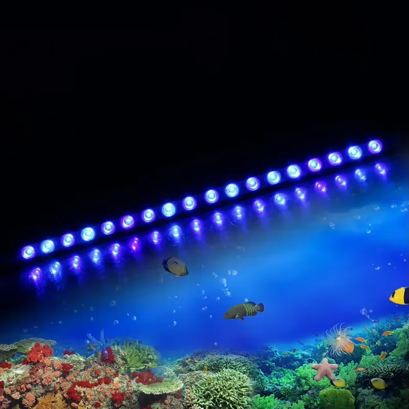 Dimmable Timing LED Aquarium L - Marine Aquarium Hours 评论和价格