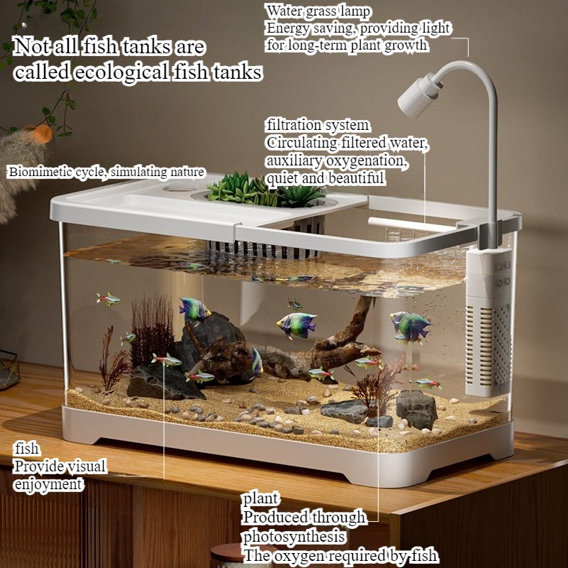 Fish tank household aquarium l - Marine Aquarium Live 评论和价格