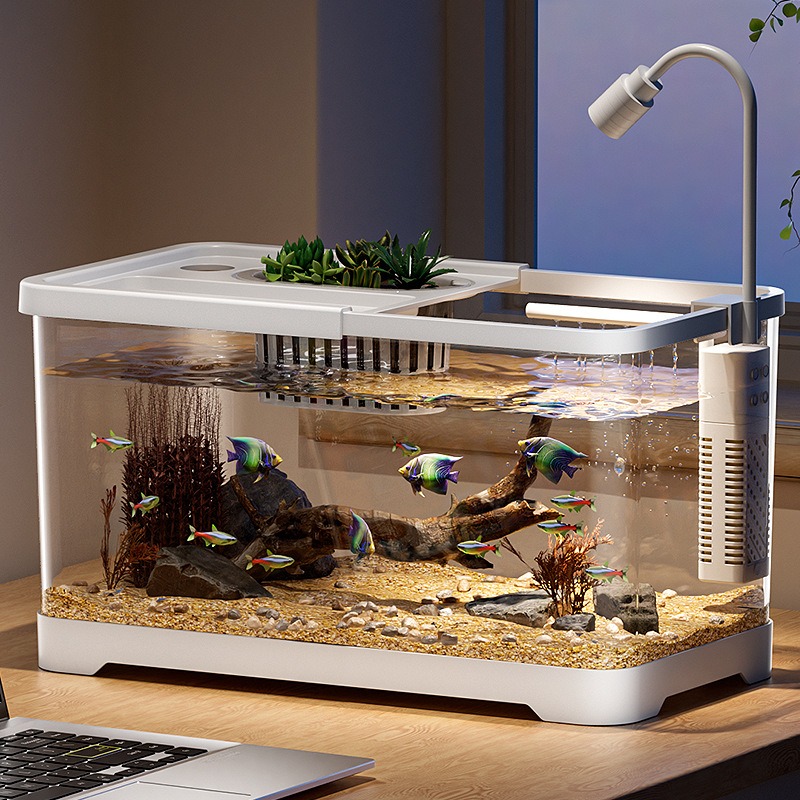 Fish tank household aquarium l - Marine Aquarium Live 评论和价格