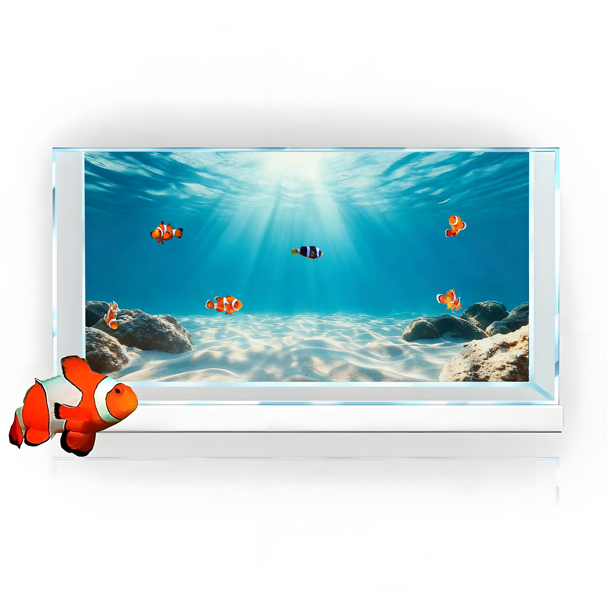 Blue Sea Clear Sand, Fish Tank - Marine Aquarium Glue 评论和价格