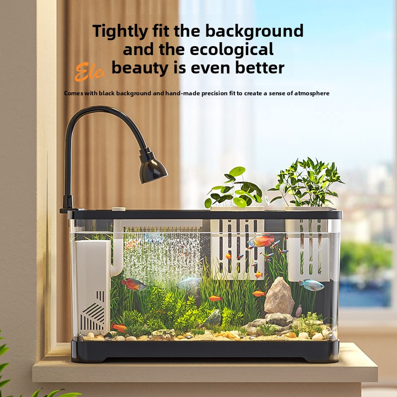 2026 All-in-One Aquarium Filte - Marine Aquarium Live 评论和价格