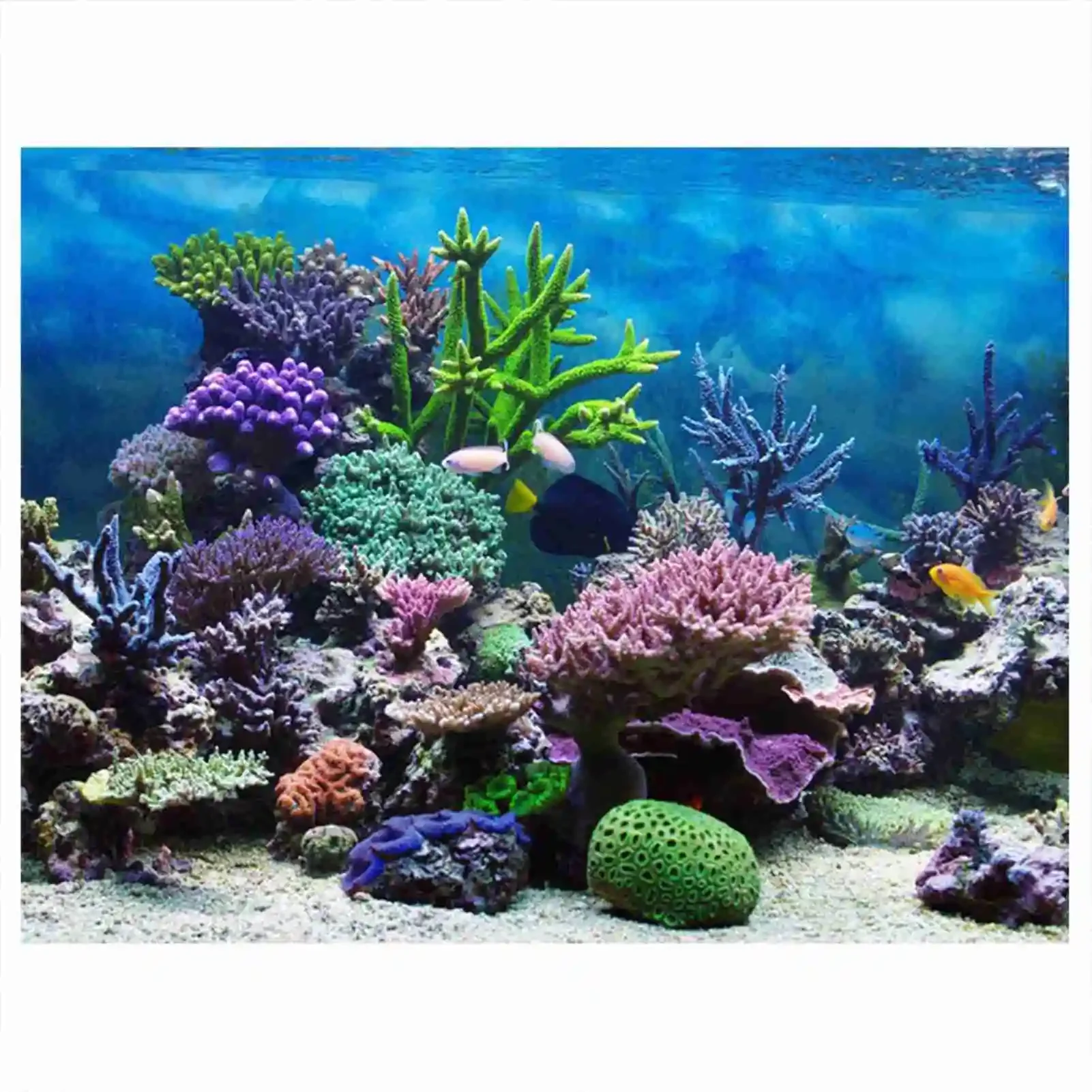3D Aquarium Landscape Poster R - Marine Aquarium Glue 评论和价格