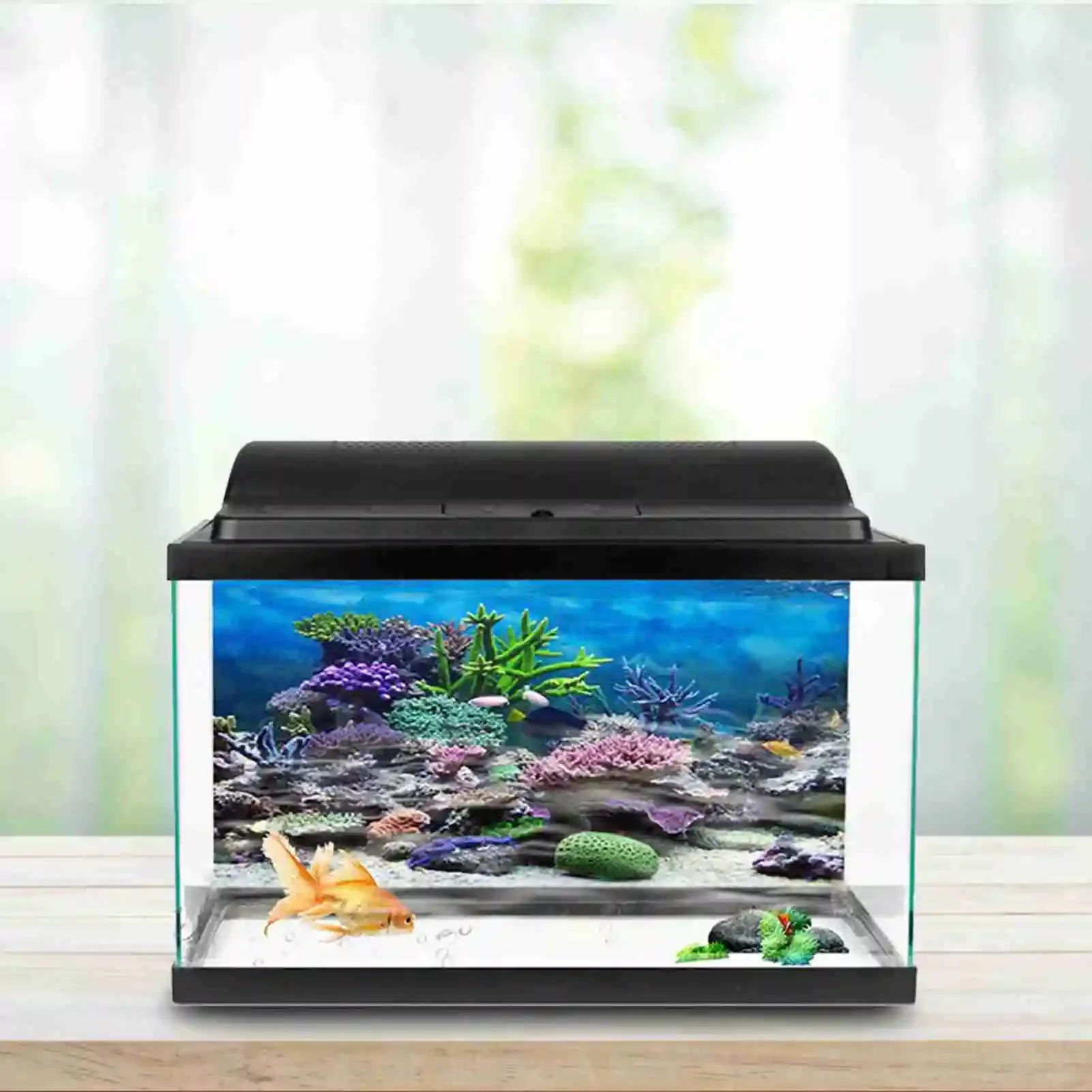 3D Aquarium Landscape Poster R - Marine Aquarium Glue 评论和价格