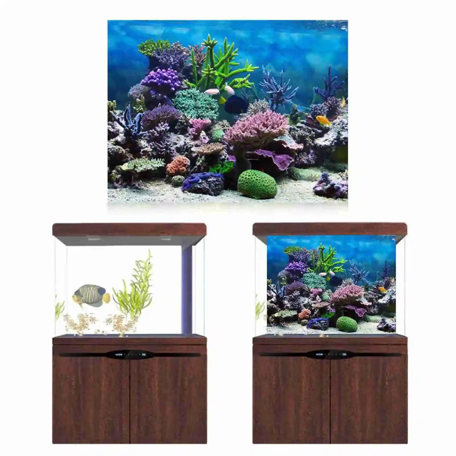 3D Aquarium Landscape Poster R - Marine Aquarium Glue 评论和价格