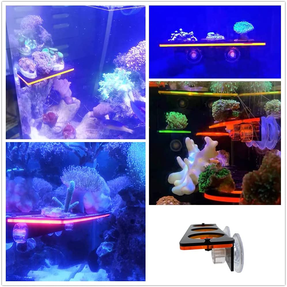 Fluorescent Coral Frag Plug Br - Marine Aquarium Design 评论和价格