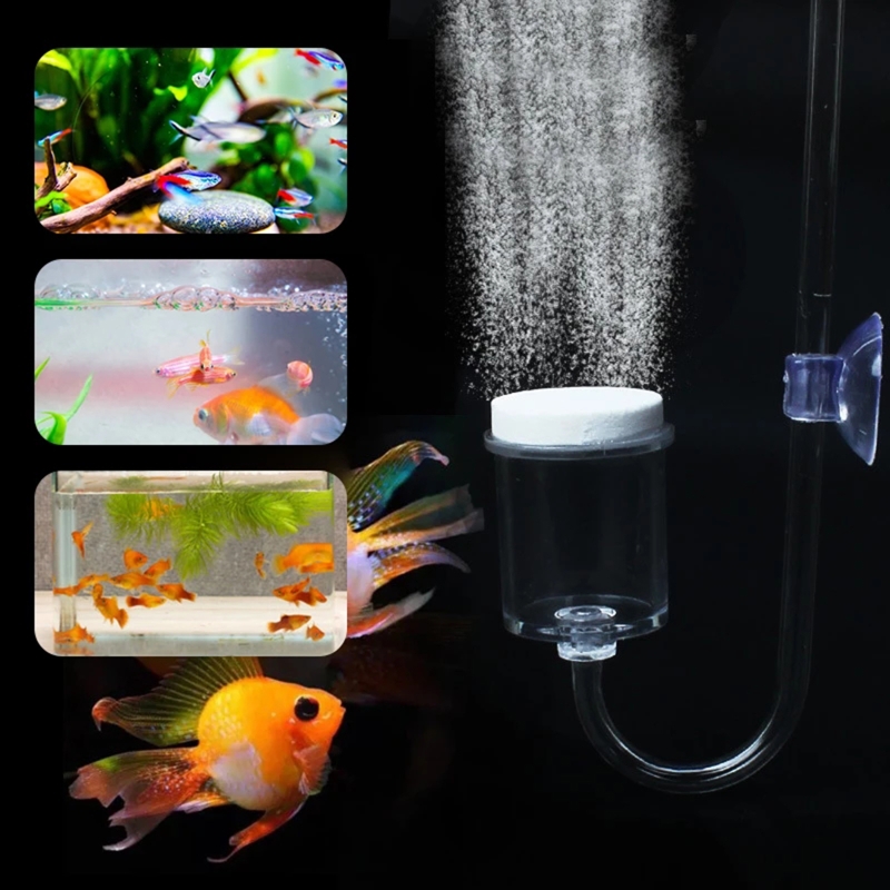 4pcs Set DIY CO2 Diffuser For  - Marine Aquarium Live 评论和价格