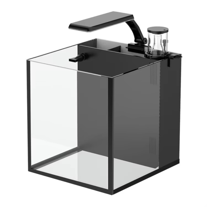 Table Curved Saltwater Marine  - Marine Aquarium Live 评论和价格
