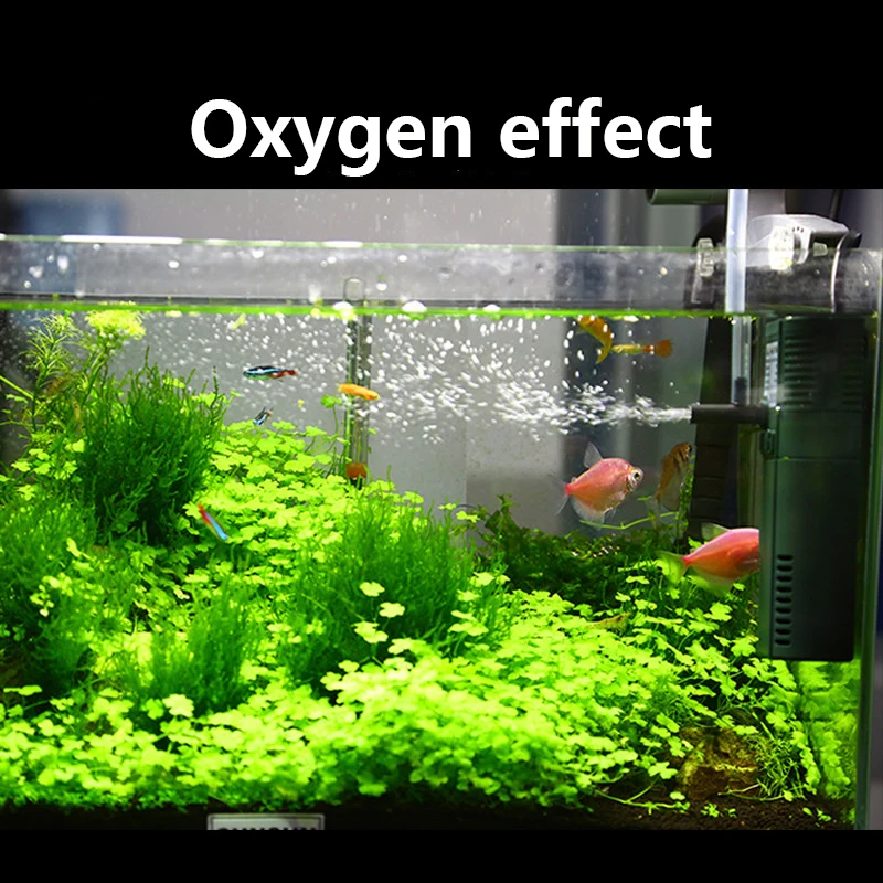 SUNSUN mini nano 111B 311B 611 - Marine Aquarium Protein Skimmer 评论和价格